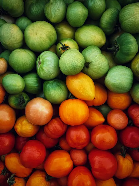 Red, yellow and green tomatoes