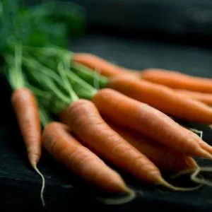 Carrots photographed close up