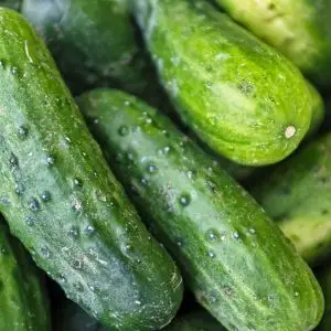 Cucumbers photographed close up