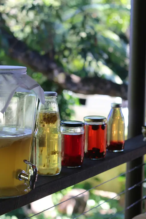 Assorted homemade fermented drinks in glass jars and bottles lined up on a sunny outdoor ledge.