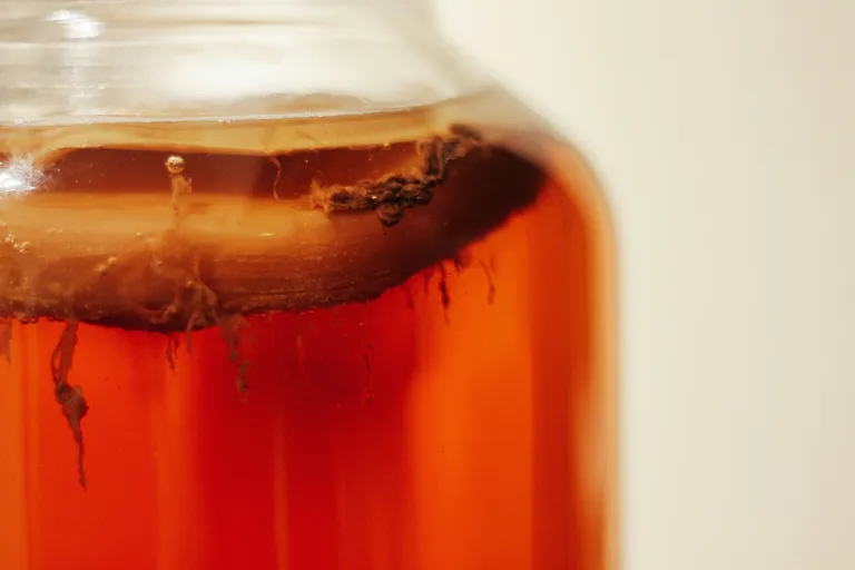 Kombucha fermentation in a bottle