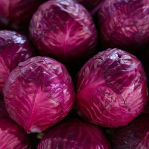 Purple cabbages photographed close up